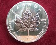 1 Oz Silber Maple Leaf 2024